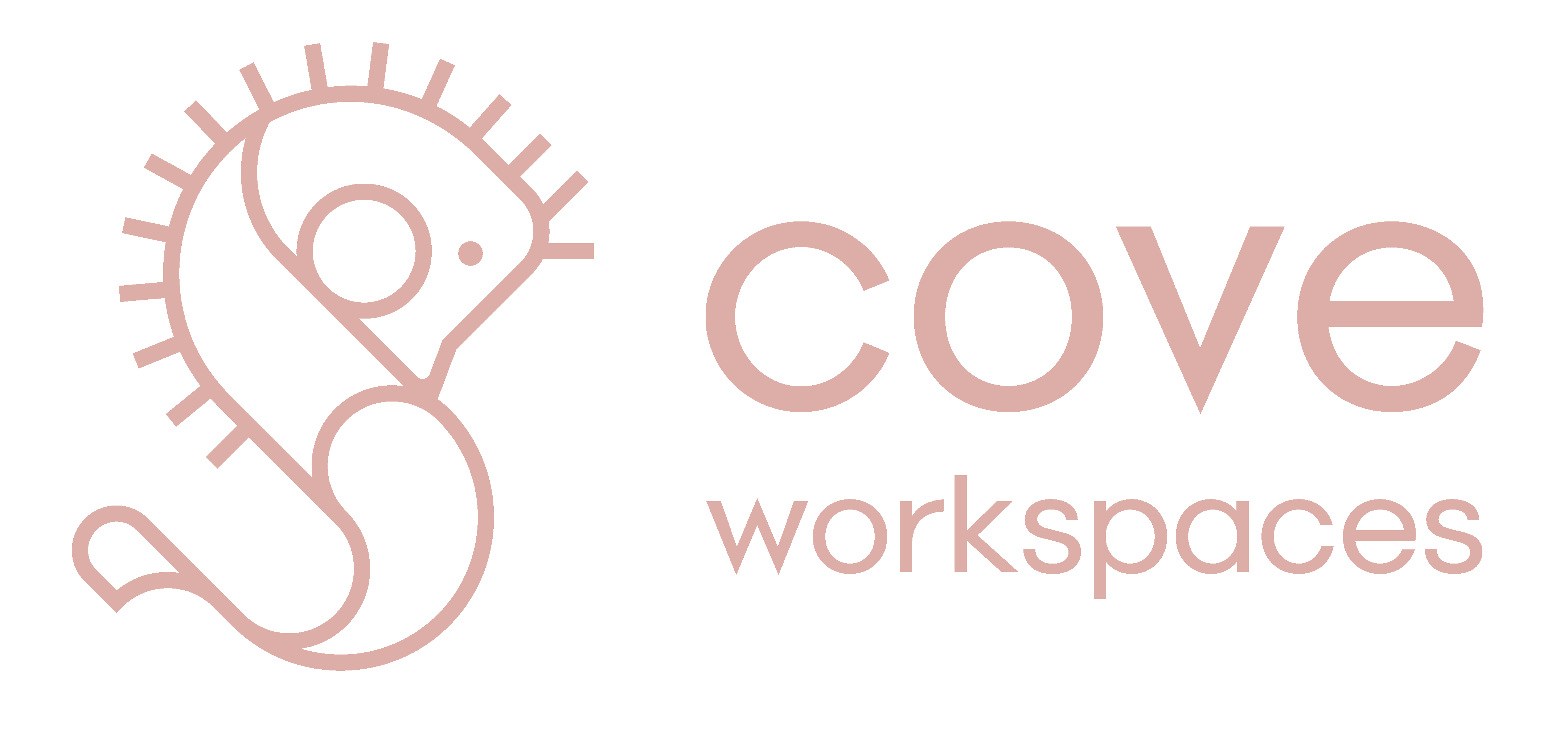 Cove Workspaces